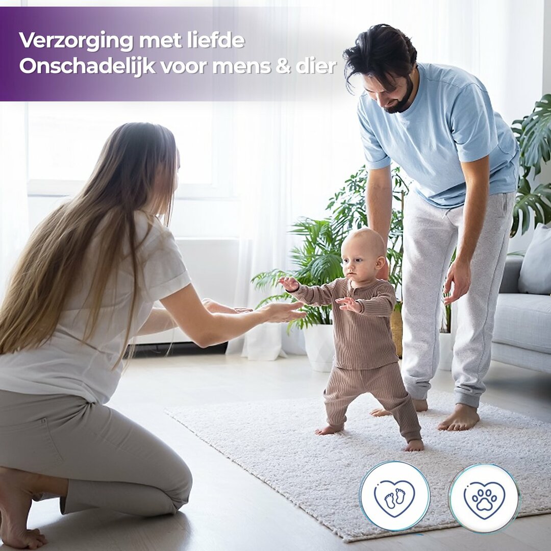 Purimax – Teppich- und Polsterreiniger 500 ml